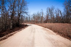 property photo for Buffalo Hills Tract 18, 20.31 acres for sale in Dallas County, Missouri