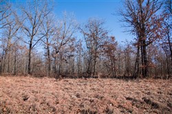 property photo for Buffalo Hills Tract 18, 20.31 acres for sale in Dallas County, Missouri