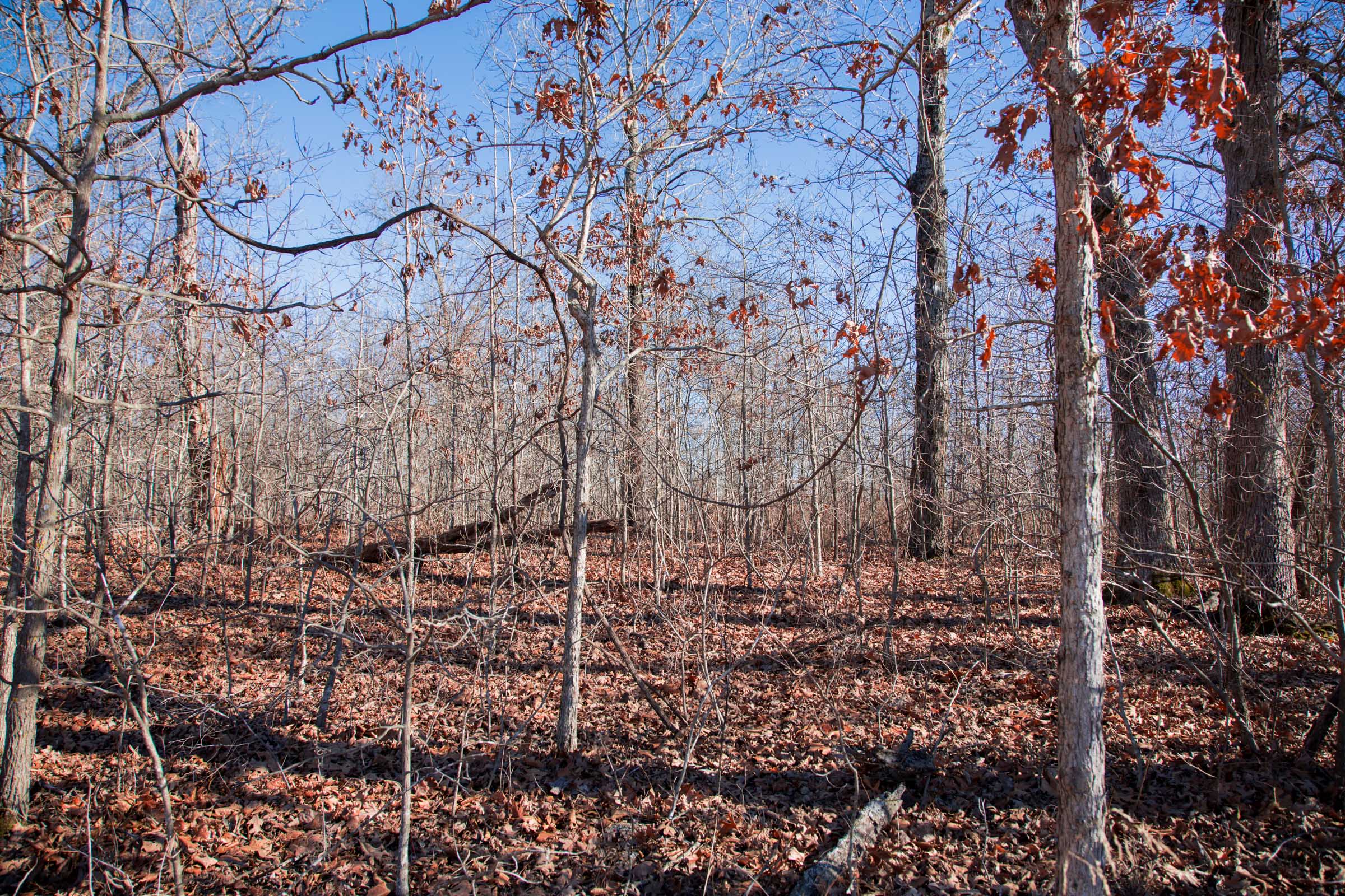 Tract 19 at Buffalo Hills in Dallas County, Missouri