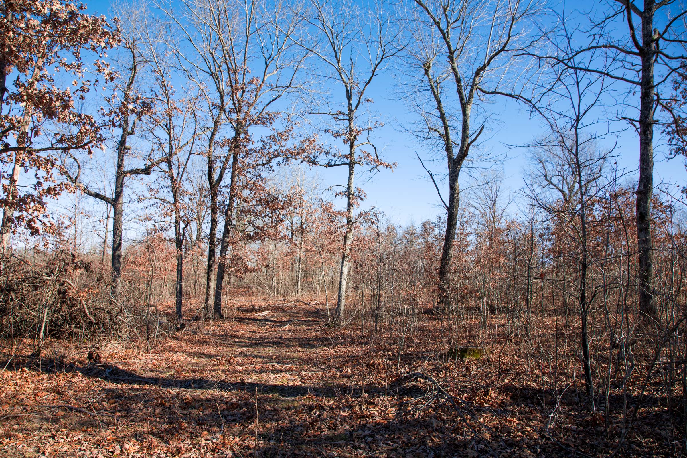 Tract 20 at Buffalo Hills in Dallas County, Missouri