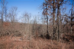property photo for Buffalo Hills Tract 21, 5.02 acres for sale in Dallas County, Missouri