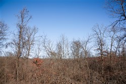 property photo for Buffalo Hills Tract 21, 5.02 acres for sale in Dallas County, Missouri