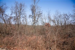 property photo for Buffalo Hills Tract 21, 5.02 acres for sale in Dallas County, Missouri