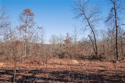 property photo for Buffalo Hills Tract 22, 5.02 acres for sale in Dallas County, Missouri