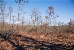 property photo for Buffalo Hills Tract 22, 5.02 acres for sale in Dallas County, Missouri
