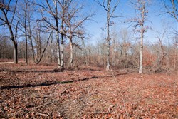 property photo for Buffalo Hills Tract 22, 5.02 acres for sale in Dallas County, Missouri