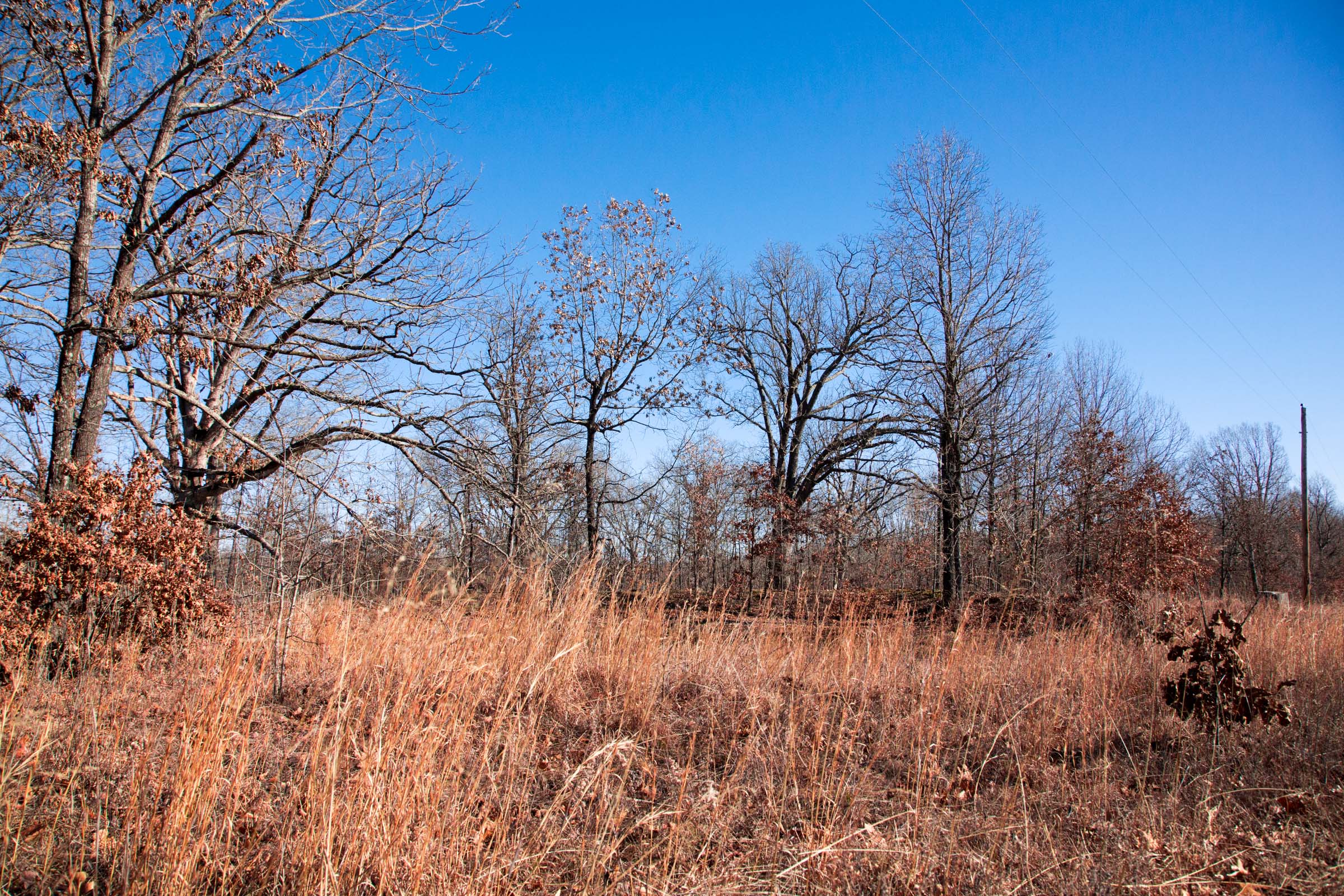 Tract 3 at Buffalo Hills in Dallas County, Missouri
