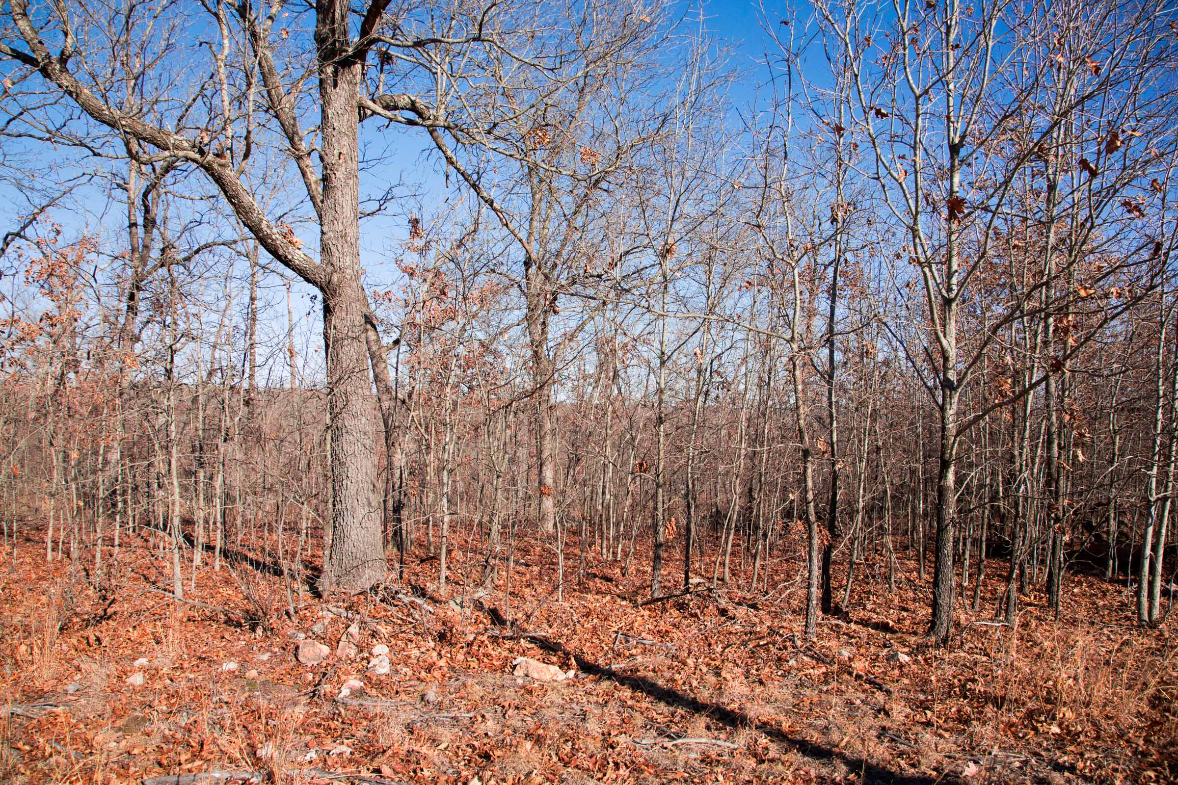 Tract 4 at Buffalo Hills in Dallas County, Missouri
