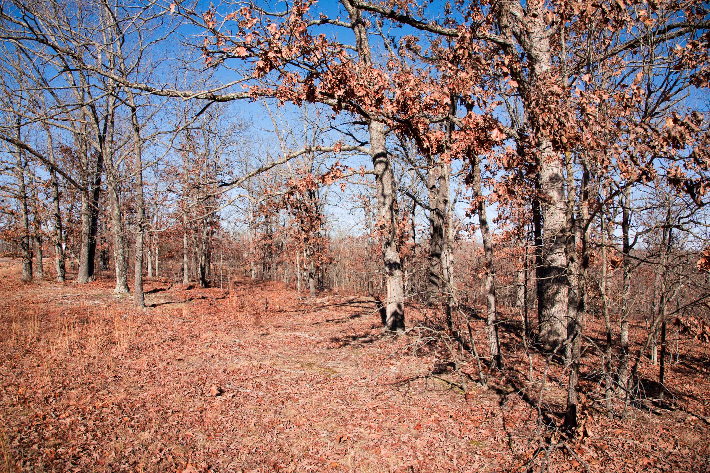 Tract 5 at Buffalo Hills in Dallas County, Missouri