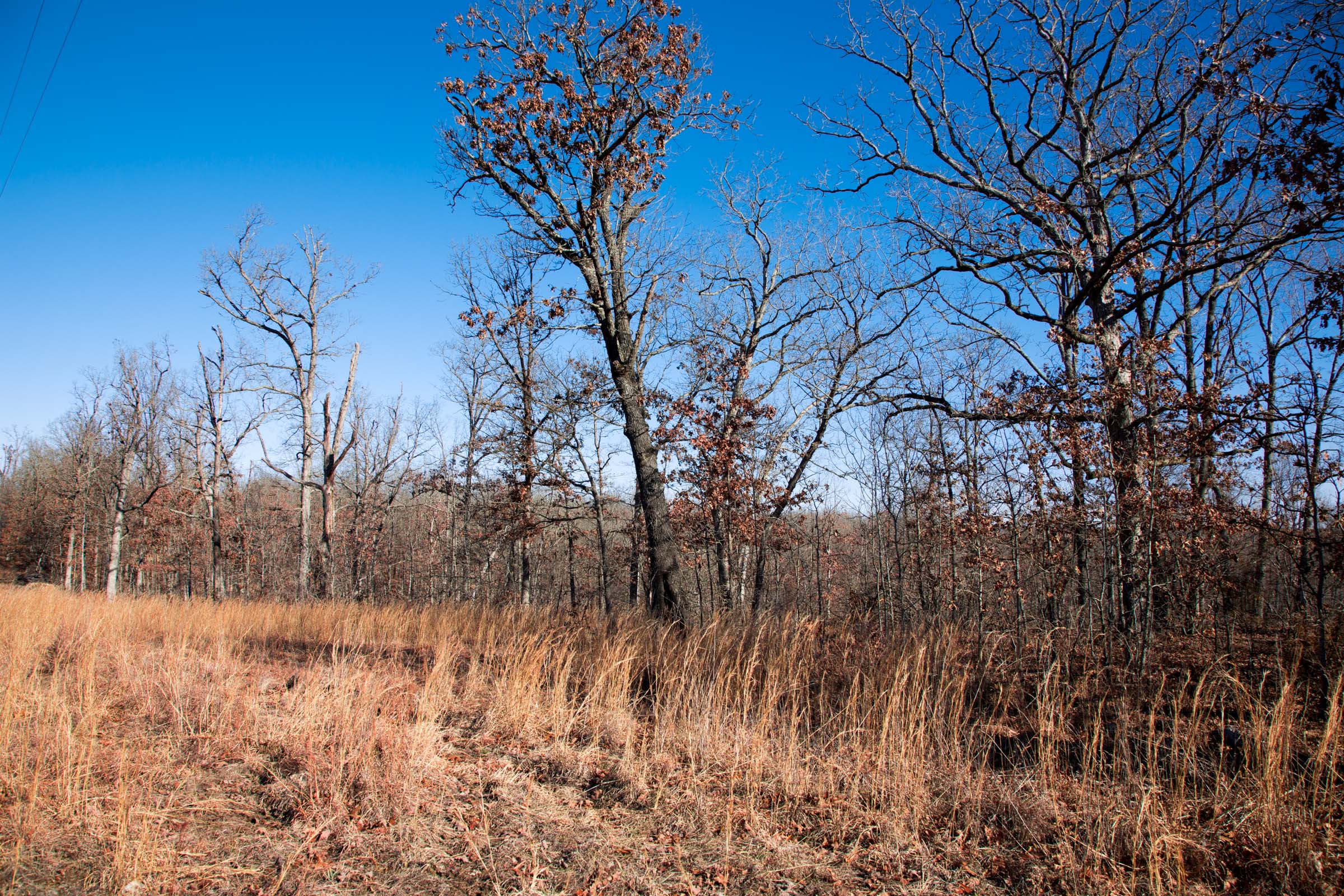 Tract 6 at Buffalo Hills in Dallas County, Missouri