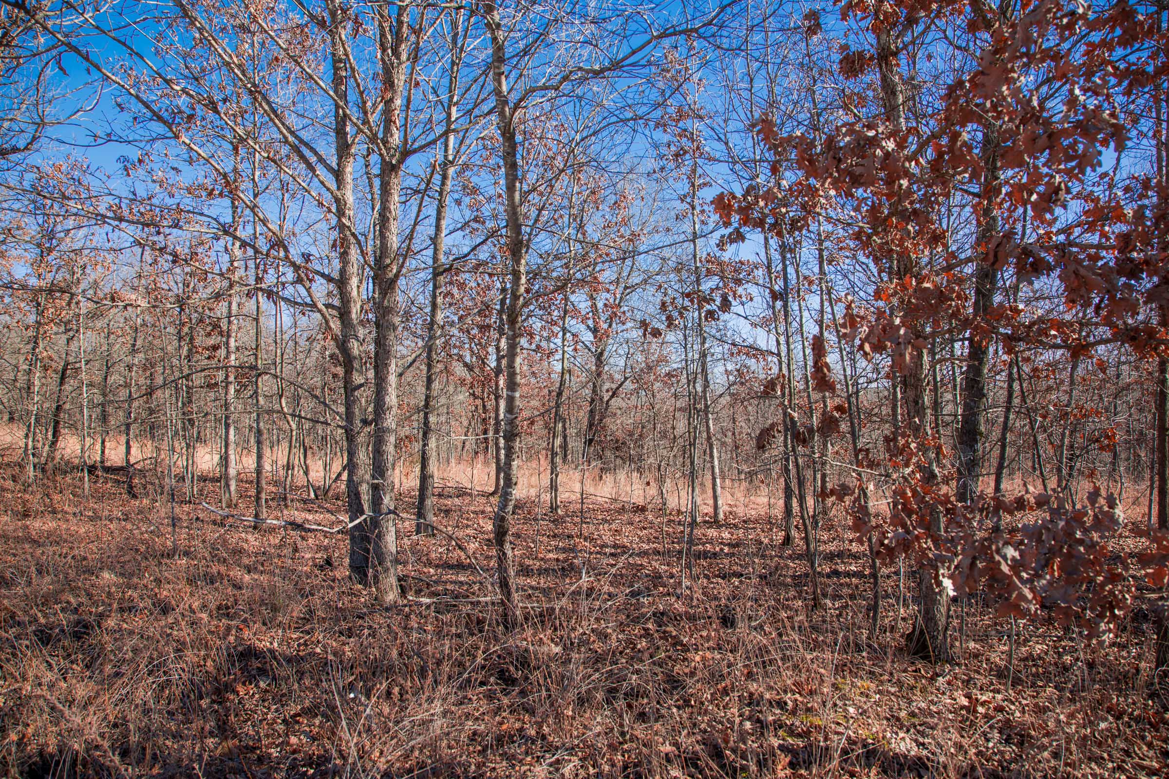 Tract 7 at Buffalo Hills in Dallas County, Missouri