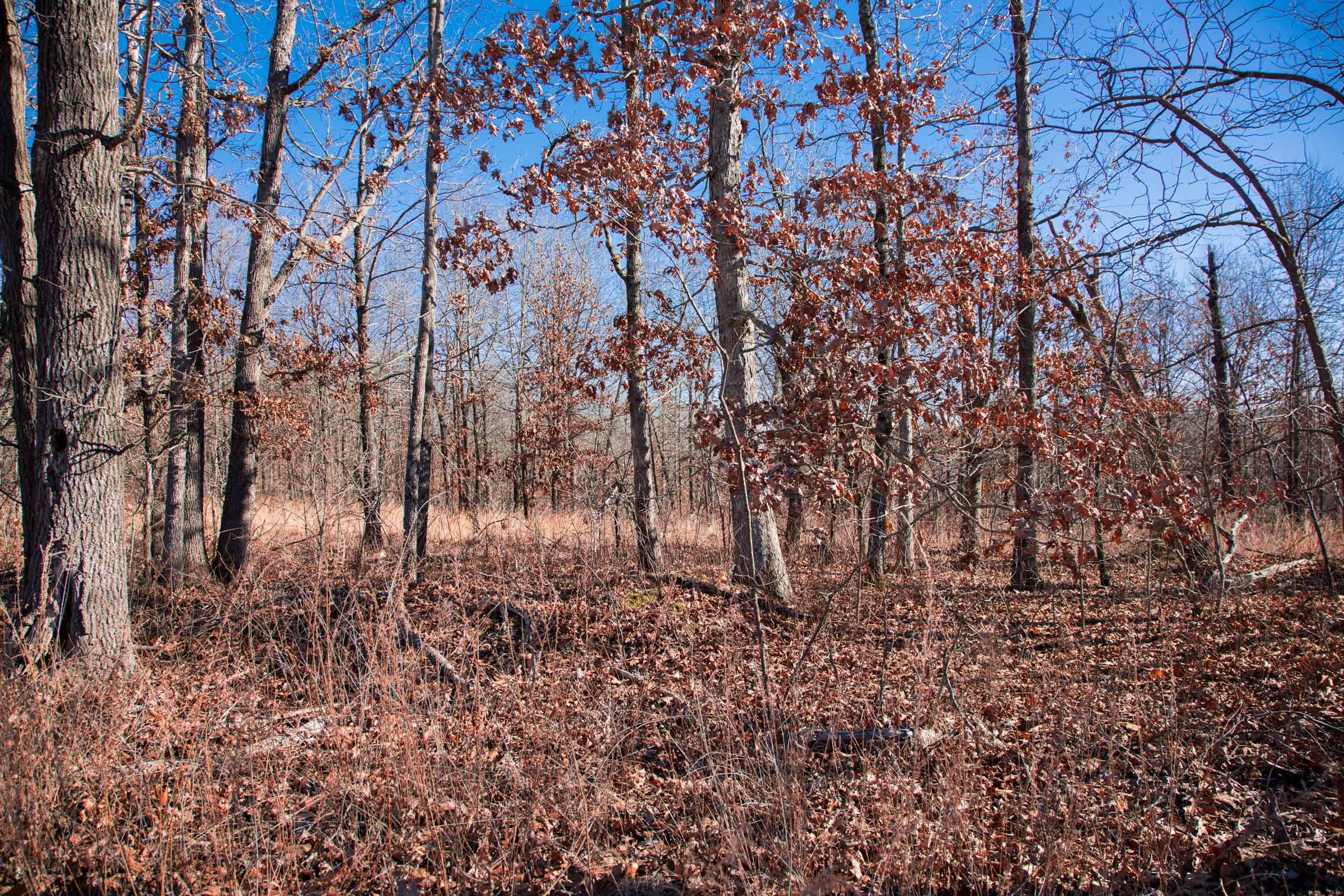 Tract 8 at Buffalo Hills in Dallas County, Missouri