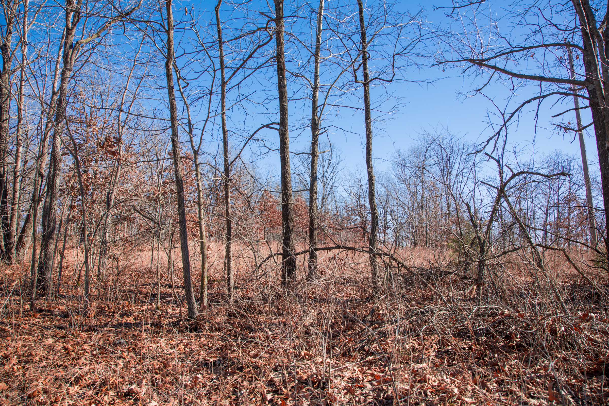Tract 9 at Buffalo Hills in Dallas County, Missouri
