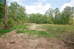 property photo for Wagon Wheel Ranch Tract 28, 7.86 acres for sale in Dent County, Missouri