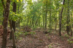 property photo for Wagon Wheel Ranch Tract 28, 7.86 acres for sale in Dent County, Missouri