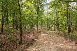 property photo for Wagon Wheel Ranch Tract 28, 7.86 acres for sale in Dent County, Missouri