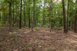 property photo for Wagon Wheel Ranch Tract 28, 7.86 acres for sale in Dent County, Missouri
