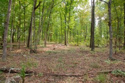 property photo for Wagon Wheel Ranch Tract 28, 7.86 acres for sale in Dent County, Missouri