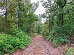 property photo for Wagon Wheel Ranch Tract 31, 12.8 acres for sale in Dent County, Missouri