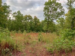 property photo for Wagon Wheel Ranch Tract 31, 12.8 acres for sale in Dent County, Missouri