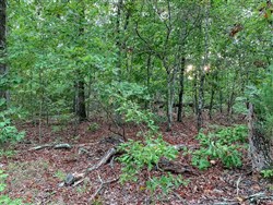 property photo for Wagon Wheel Ranch Tract 31, 12.8 acres for sale in Dent County, Missouri