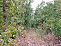 property photo for Wagon Wheel Ranch Tract 31, 12.8 acres for sale in Dent County, Missouri