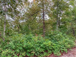 property photo for Wagon Wheel Ranch Tract 31, 12.8 acres for sale in Dent County, Missouri