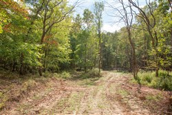 property photo for Wagon Wheel Ranch Tract 50, 10.17 acres for sale in Dent County, Missouri