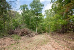property photo for Wagon Wheel Ranch Tract 50, 10.17 acres for sale in Dent County, Missouri