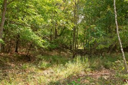 property photo for Wagon Wheel Ranch Tract 50, 10.17 acres for sale in Dent County, Missouri