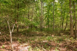 property photo for Wagon Wheel Ranch Tract 50, 10.17 acres for sale in Dent County, Missouri