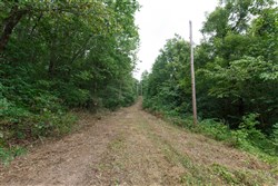 property photo for Springlake Plat 2 Tract 58, 0.38 acres for sale in Miller County, Missouri