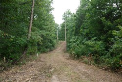 property photo for Springlake Plat 2 Tract 58, 0.38 acres for sale in Miller County, Missouri