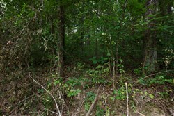 property photo for Springlake Plat 2 Tract 58, 0.38 acres for sale in Miller County, Missouri