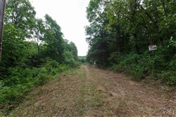 property photo for Springlake Plat 2 Tract 58, 0.38 acres for sale in Miller County, Missouri