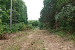 property photo for Springlake Plat 2 Tract 59, 0.38 acres for sale in Miller County, Missouri