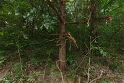property photo for Springlake Plat 2 Tract 59, 0.38 acres for sale in Miller County, Missouri
