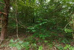 property photo for Springlake Plat 2 Tract 59, 0.38 acres for sale in Miller County, Missouri