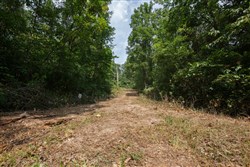 property photo for Springlake Plat 2 Tract 67, 0.38 acres for sale in Miller County, Missouri