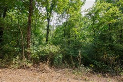 property photo for Springlake Plat 2 Tract 67, 0.38 acres for sale in Miller County, Missouri