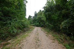 property photo for Springlake Plat 4 Tract 112, 0.38 acres for sale in Miller County, Missouri