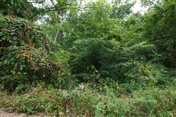 property photo for Springlake Plat 4 Tract 112, 0.38 acres for sale in Miller County, Missouri