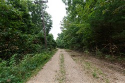 property photo for Springlake Plat 4 Tract 112, 0.38 acres for sale in Miller County, Missouri