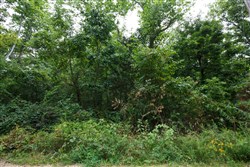 property photo for Springlake Plat 4 Tract 112, 0.38 acres for sale in Miller County, Missouri