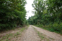 property photo for Springlake Plat 4 Tract 113, 0.38 acres for sale in Miller County, Missouri