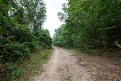 property photo for Springlake Plat 4 Tract 113, 0.38 acres for sale in Miller County, Missouri