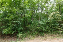 property photo for Springlake Plat 4 Tract 113, 0.38 acres for sale in Miller County, Missouri