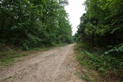 property photo for Springlake Plat 4 Tract 129, 0.25 acres for sale in Miller County, Missouri