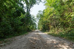 property photo for Springlake Plat 4 Tract 37, 0.38 acres for sale in Miller County, Missouri