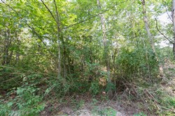 property photo for Springlake Plat 4 Tract 37, 0.38 acres for sale in Miller County, Missouri